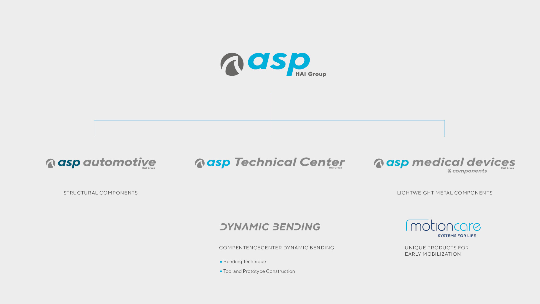 Organisational structure of asp GmbH